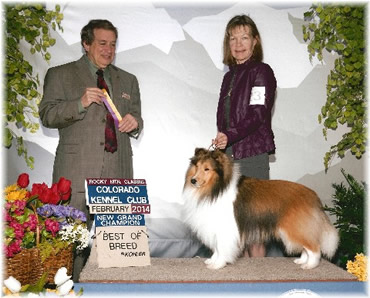 GCH Journey